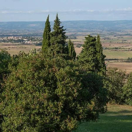 Les Deux Petits Pois 게스트하우스