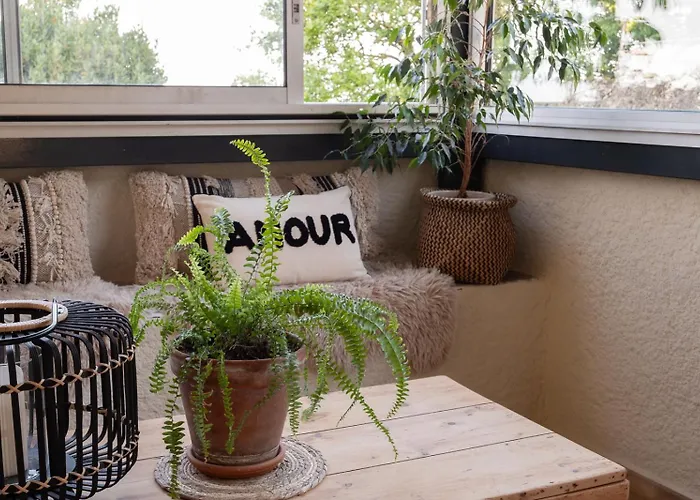 Les Deux Petits Pois Maison d'hôtes Fanjeaux