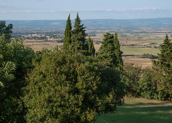 Les Deux Petits Pois Maison d'hôtes